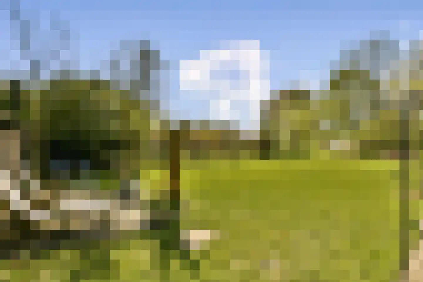 Groene Kruisweg 475 Rhoon thumbnail 16