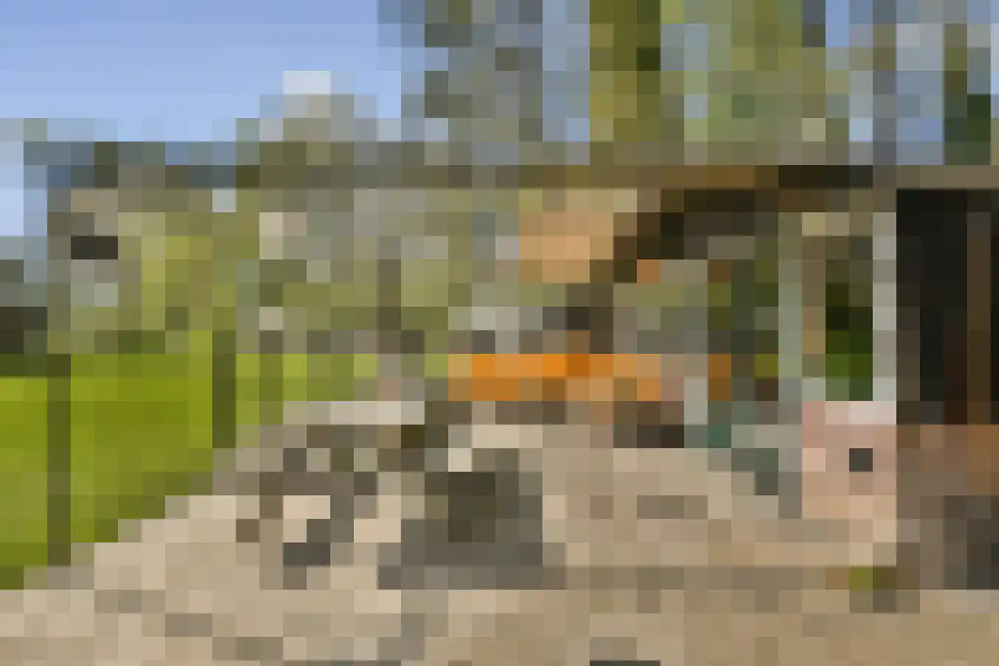 Groene Kruisweg 475 Rhoon thumbnail 17