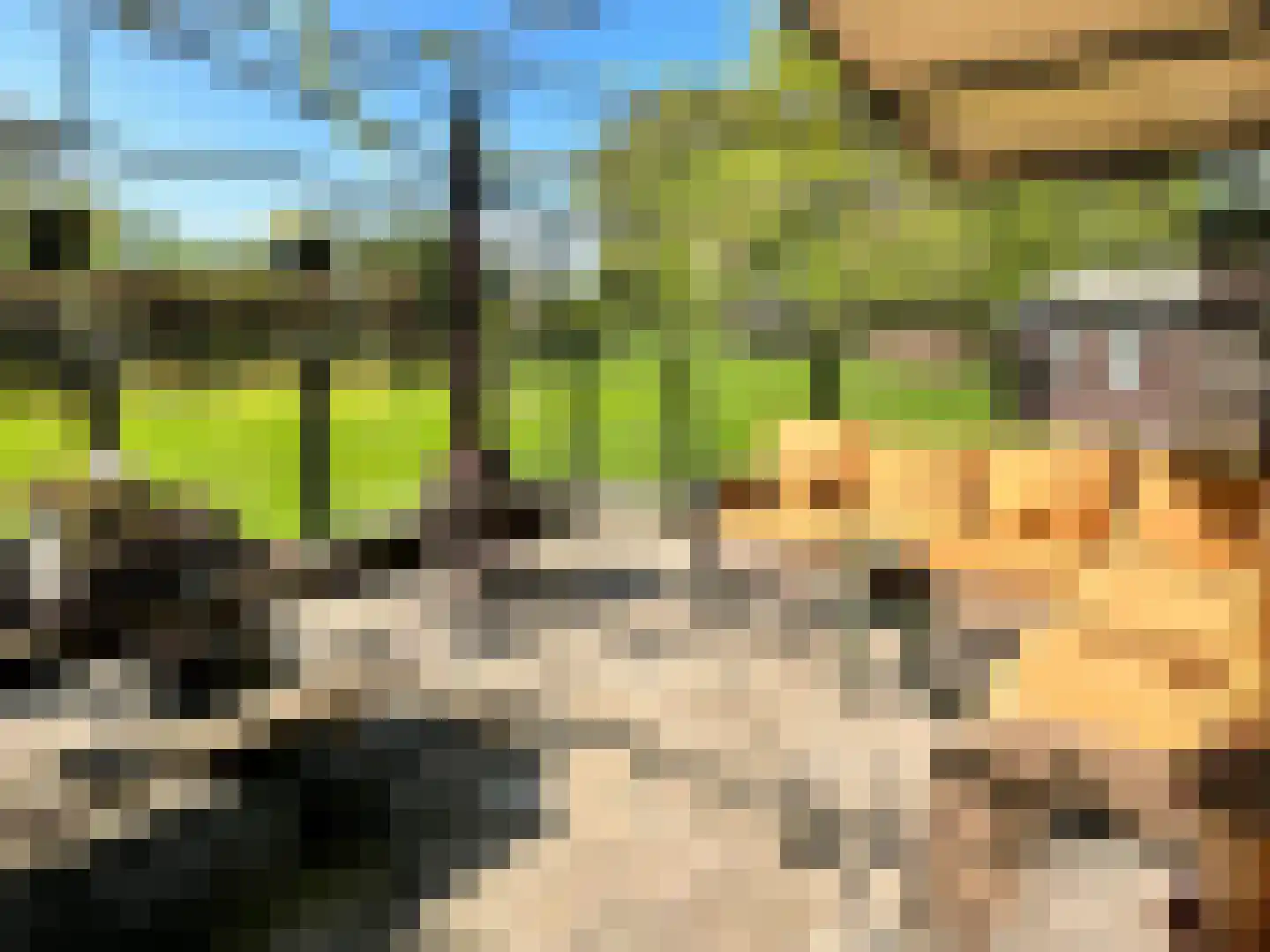 Groene Kruisweg 475 Rhoon thumbnail 18