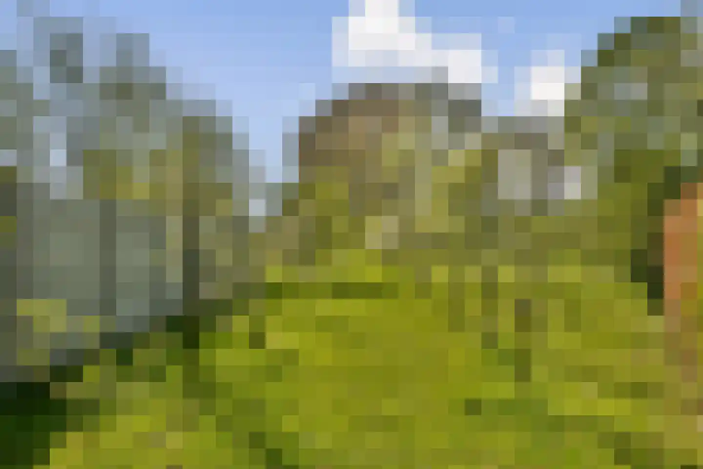 Groene Kruisweg 475 Rhoon thumbnail 20