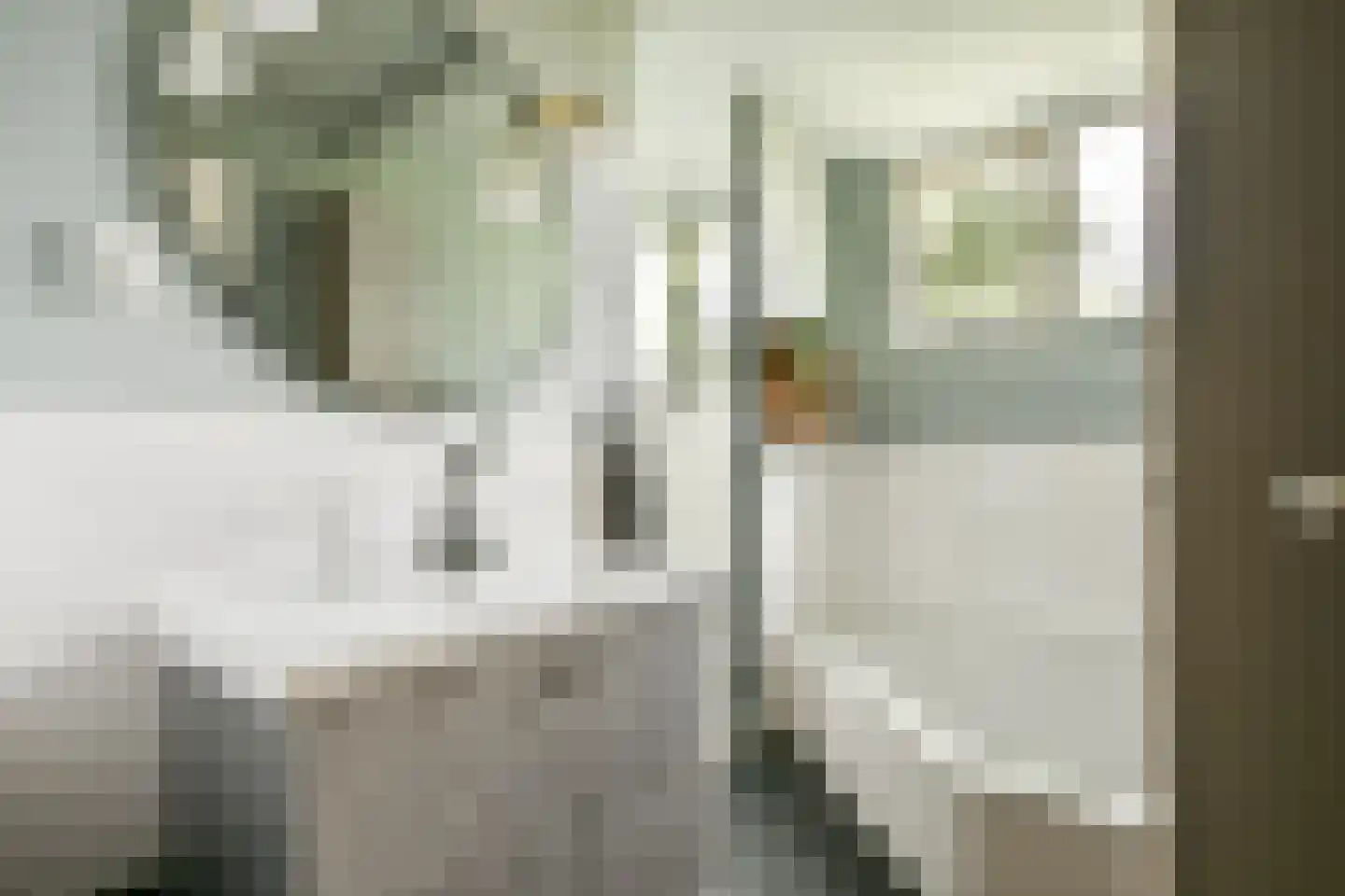 Groene Kruisweg 475 Rhoon thumbnail 30