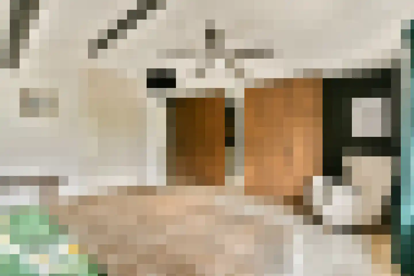 Groene Kruisweg 475 Rhoon thumbnail 36