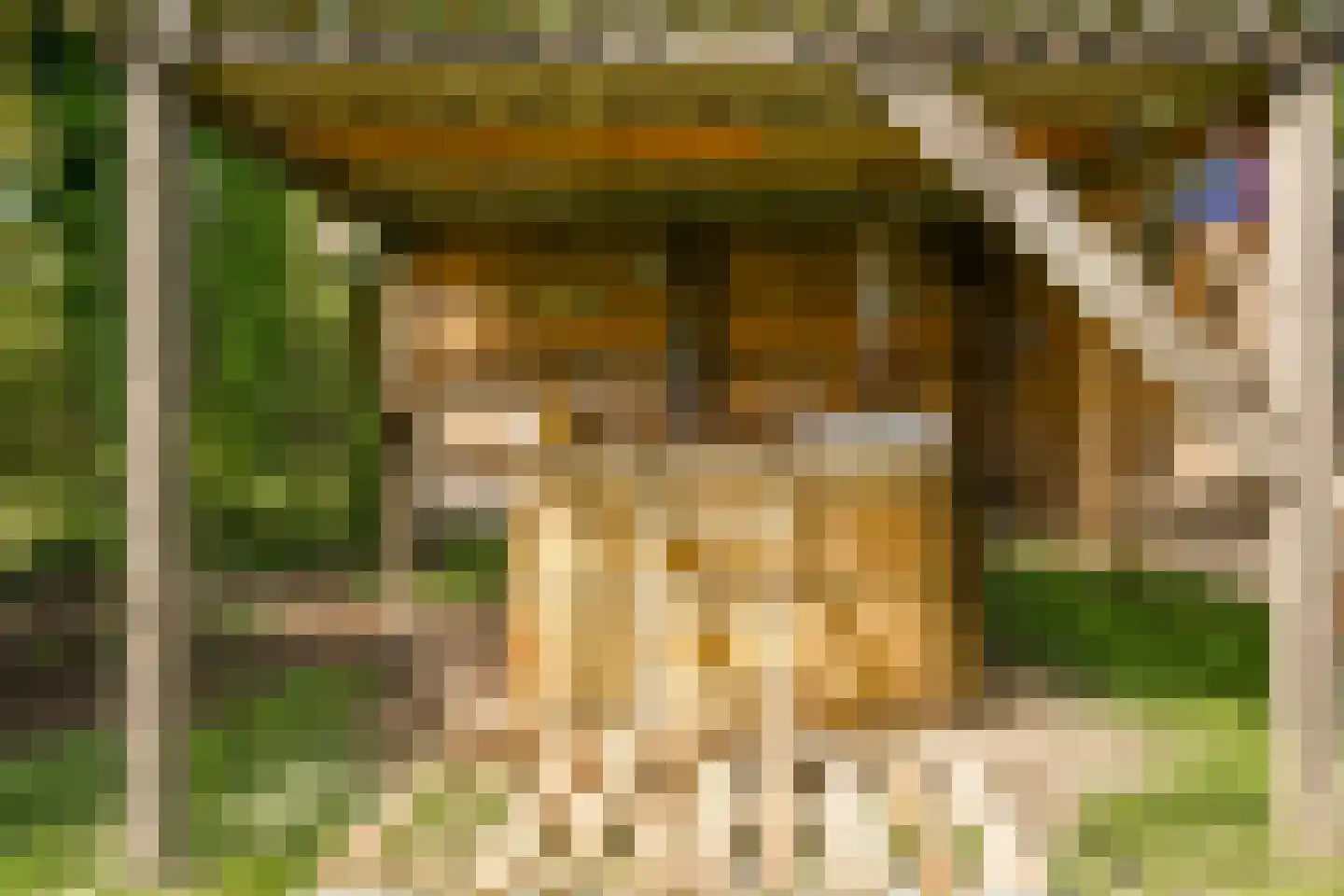 Groene Kruisweg 475 Rhoon thumbnail 46