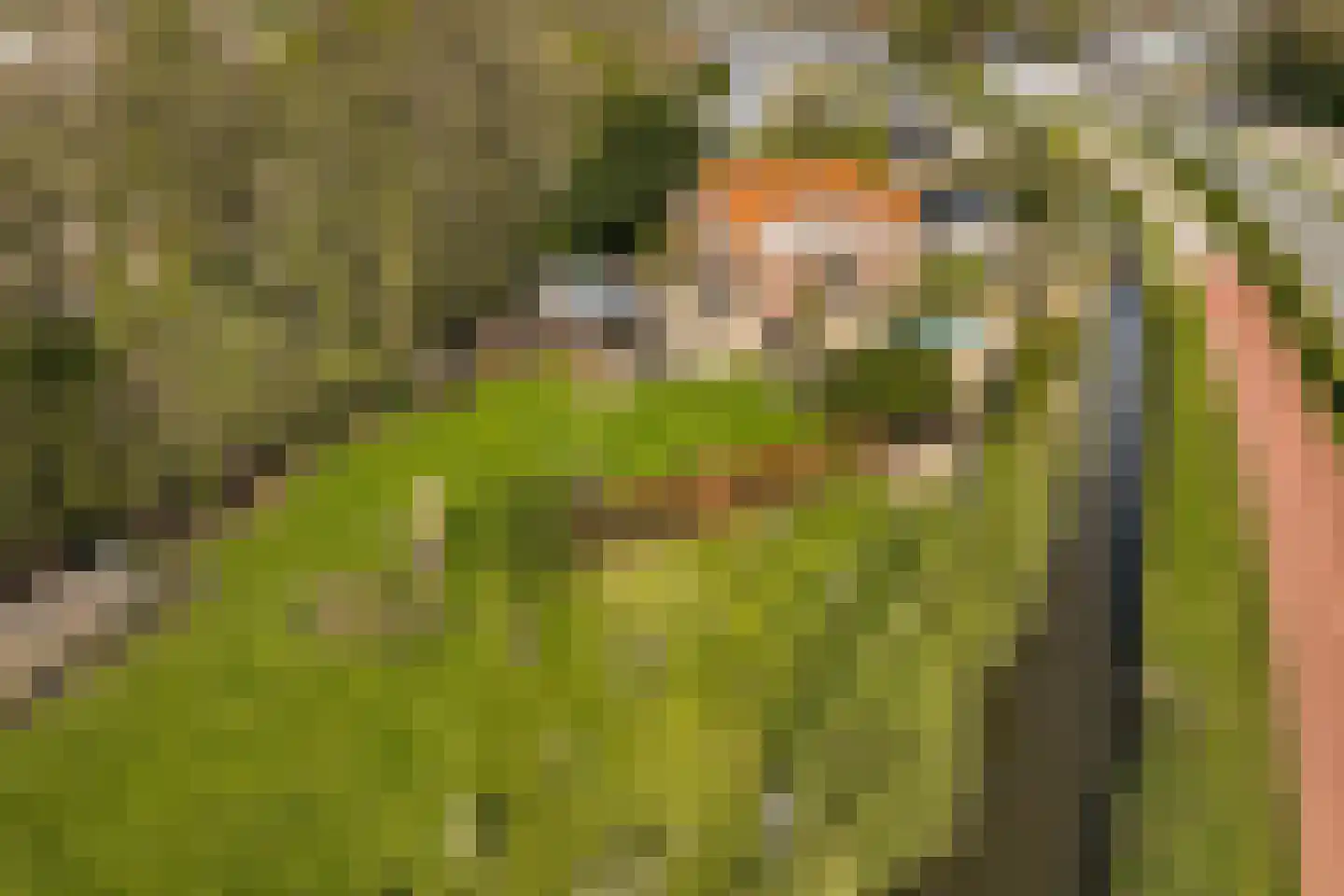 Groene Kruisweg 475 Rhoon thumbnail 48