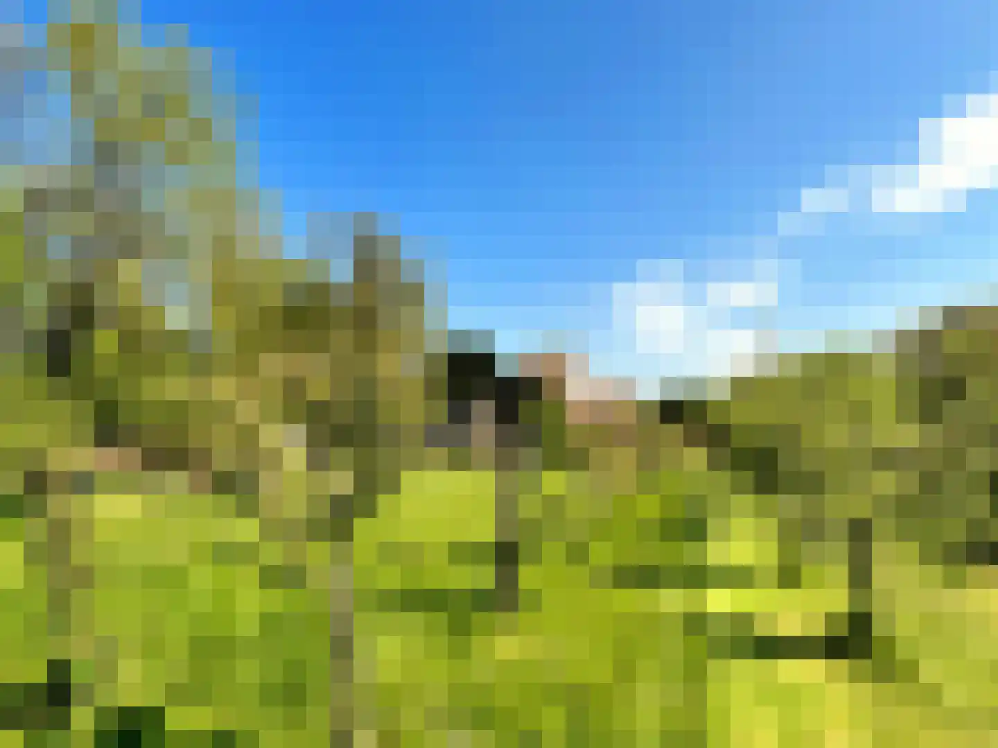 Groene Kruisweg 475 Rhoon thumbnail 49