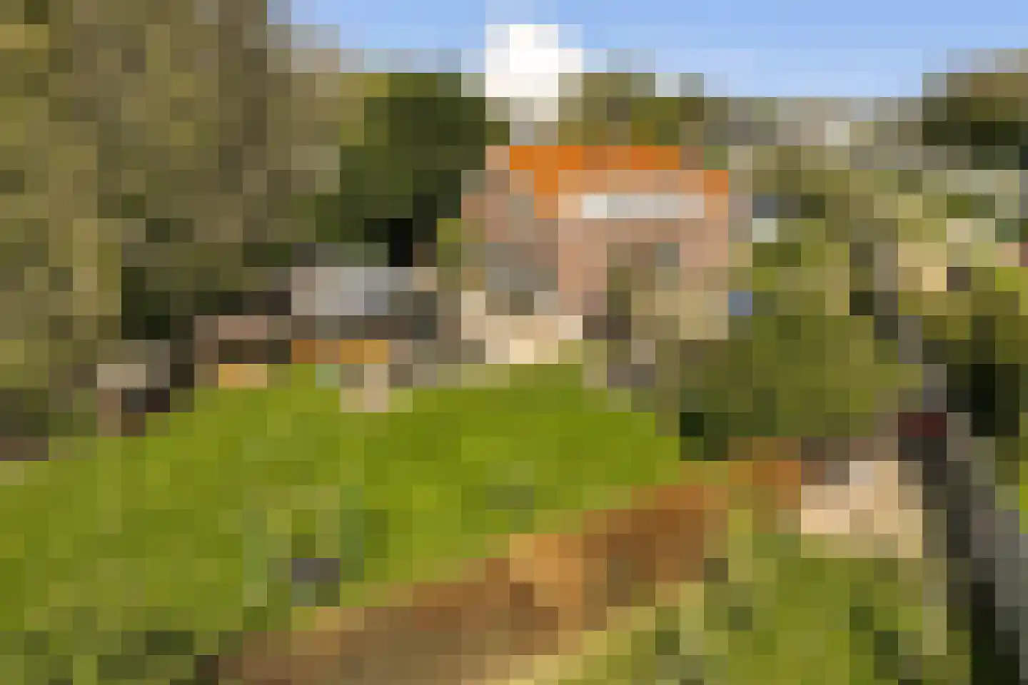 Groene Kruisweg 475 Rhoon thumbnail 5