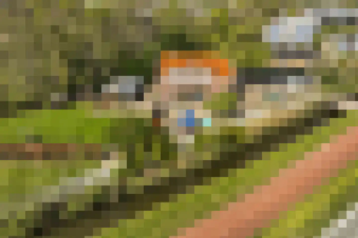 Groene Kruisweg 475 Rhoon thumbnail 50