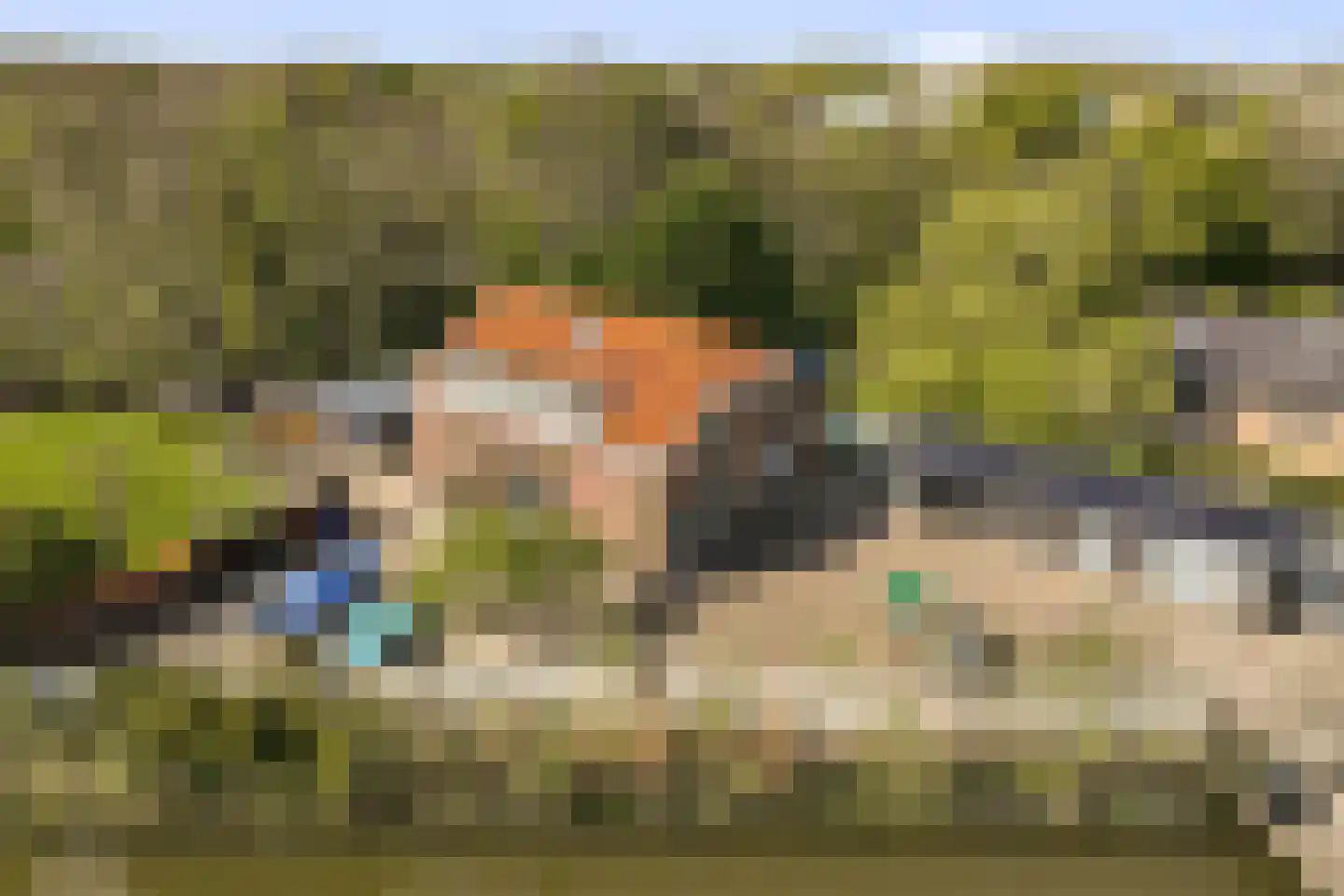 Groene Kruisweg 475 Rhoon thumbnail 51
