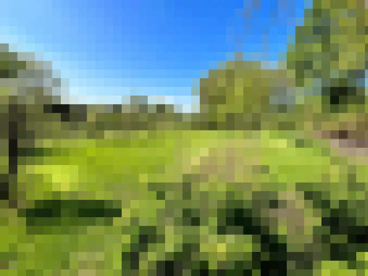 Groene Kruisweg 475 Rhoon thumbnail 53