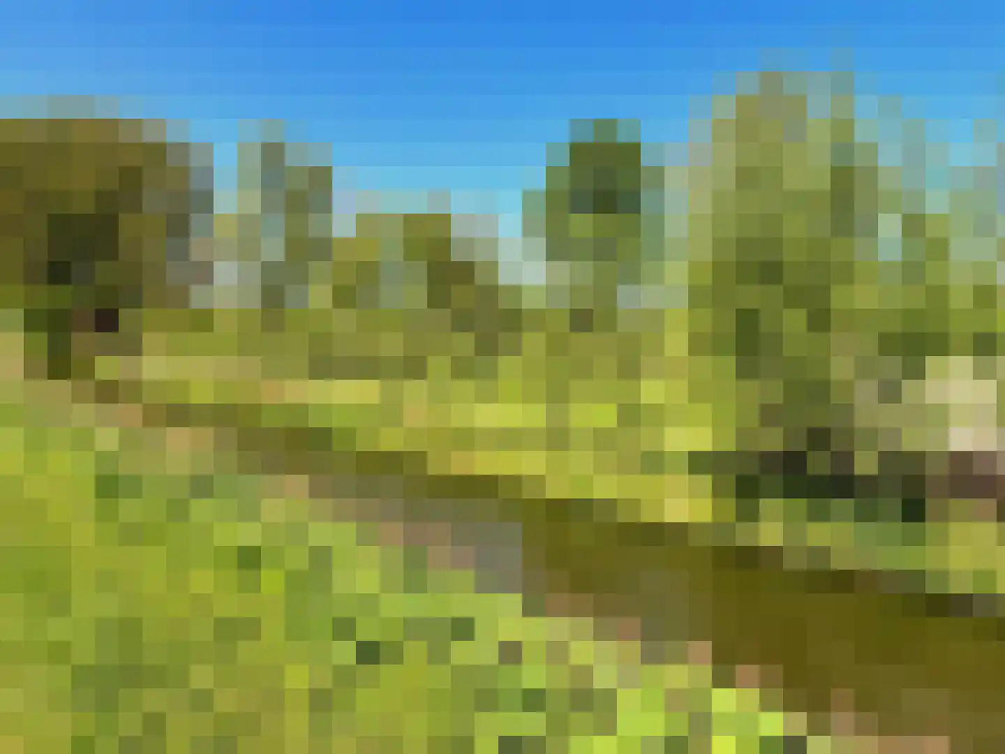 Groene Kruisweg 475 Rhoon thumbnail 54