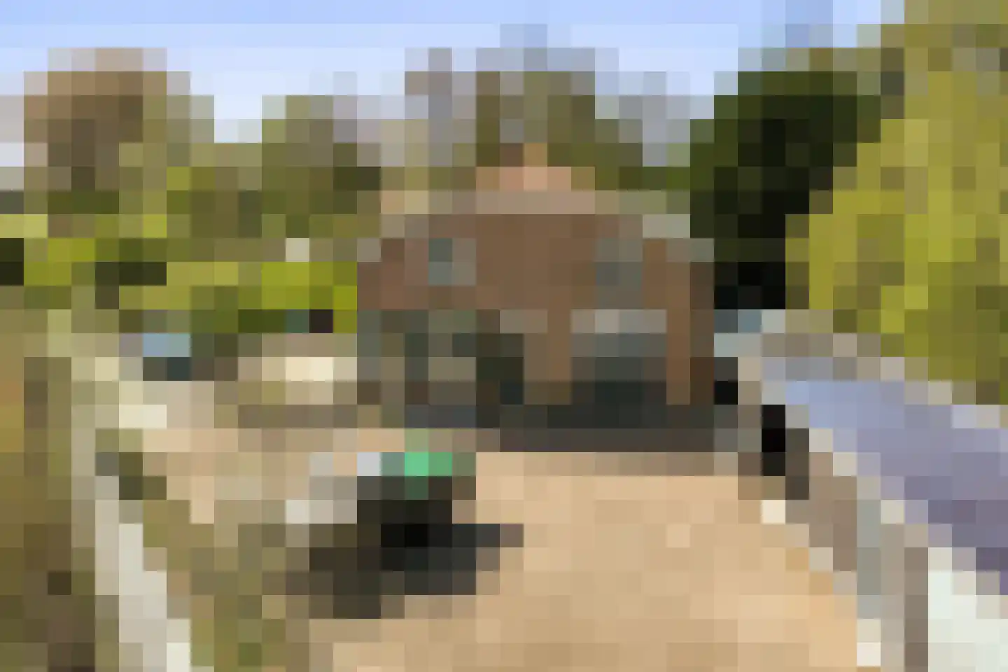Groene Kruisweg 475 Rhoon thumbnail 6