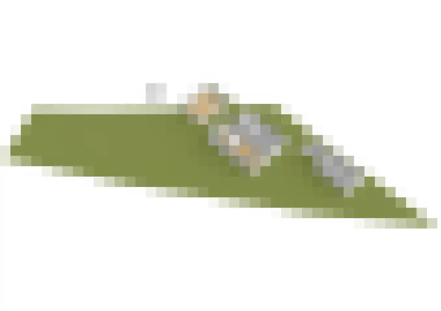 Groene Kruisweg 475 Rhoon thumbnail 77