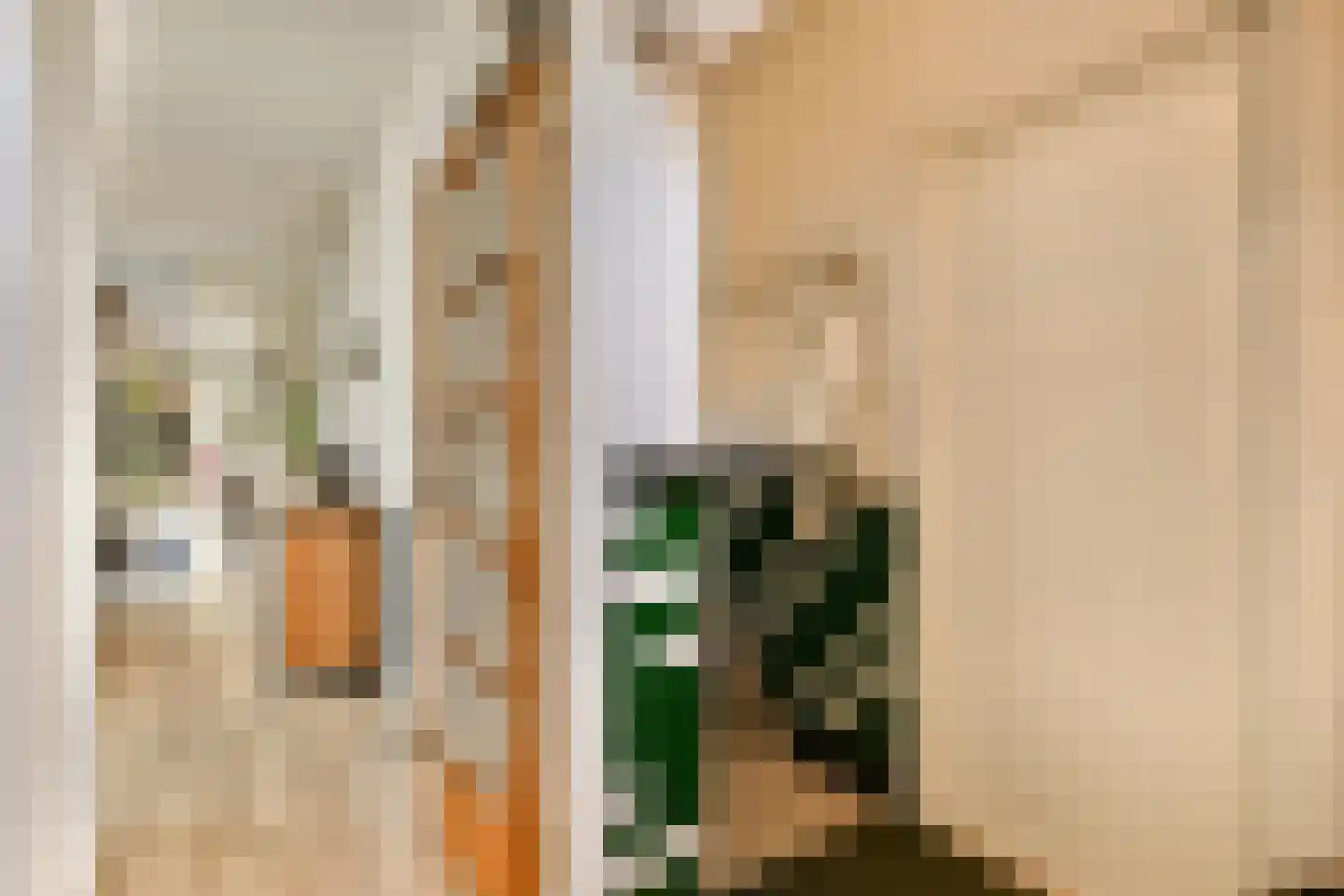 Groene Kruisweg 475 Rhoon thumbnail 8
