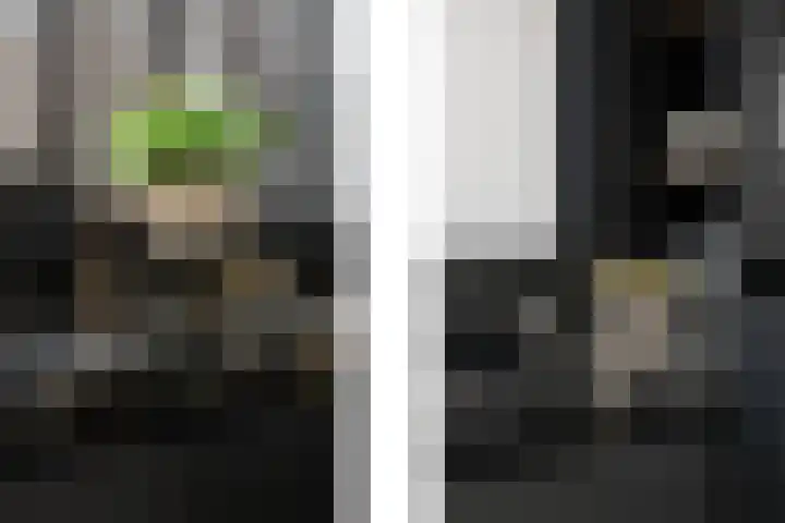 Groene Loper 11 Bleiswijk thumbnail 10