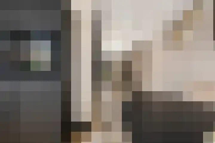 Groene Loper 11 Bleiswijk thumbnail 13