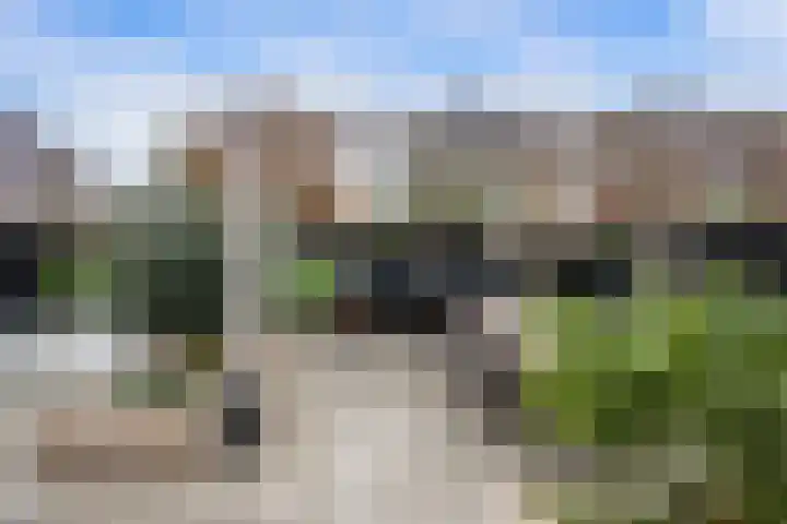 Groene Loper 11 Bleiswijk thumbnail 24