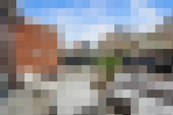 Groene Loper 11 Bleiswijk thumbnail 25
