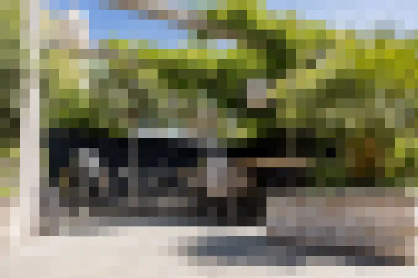 Groene Loper 11 Bleiswijk thumbnail 25