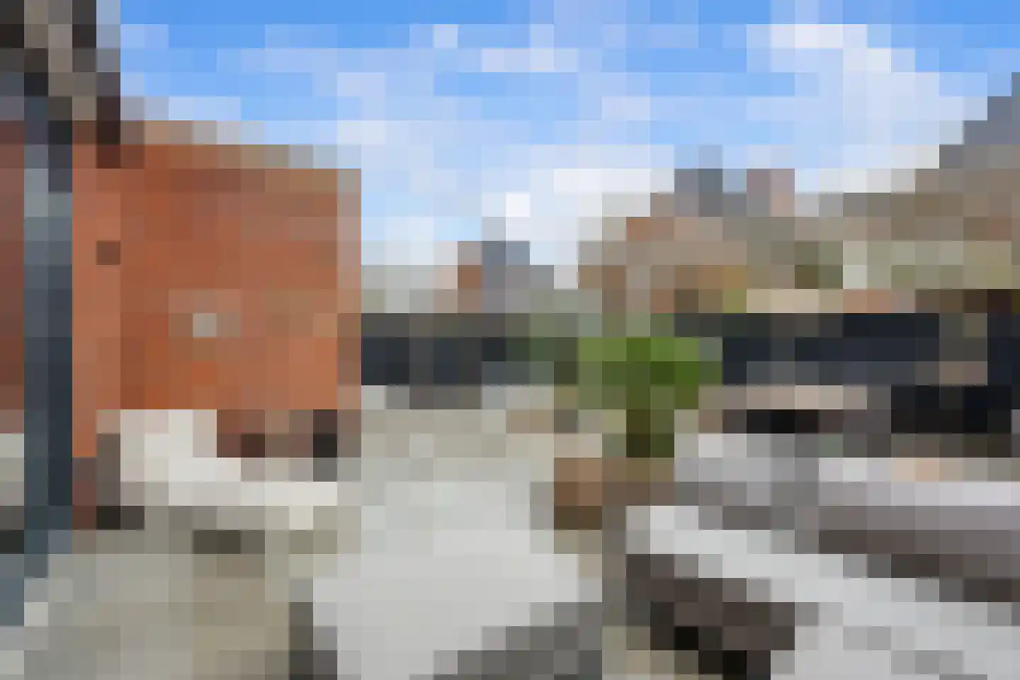 Groene Loper 11 Bleiswijk thumbnail 26