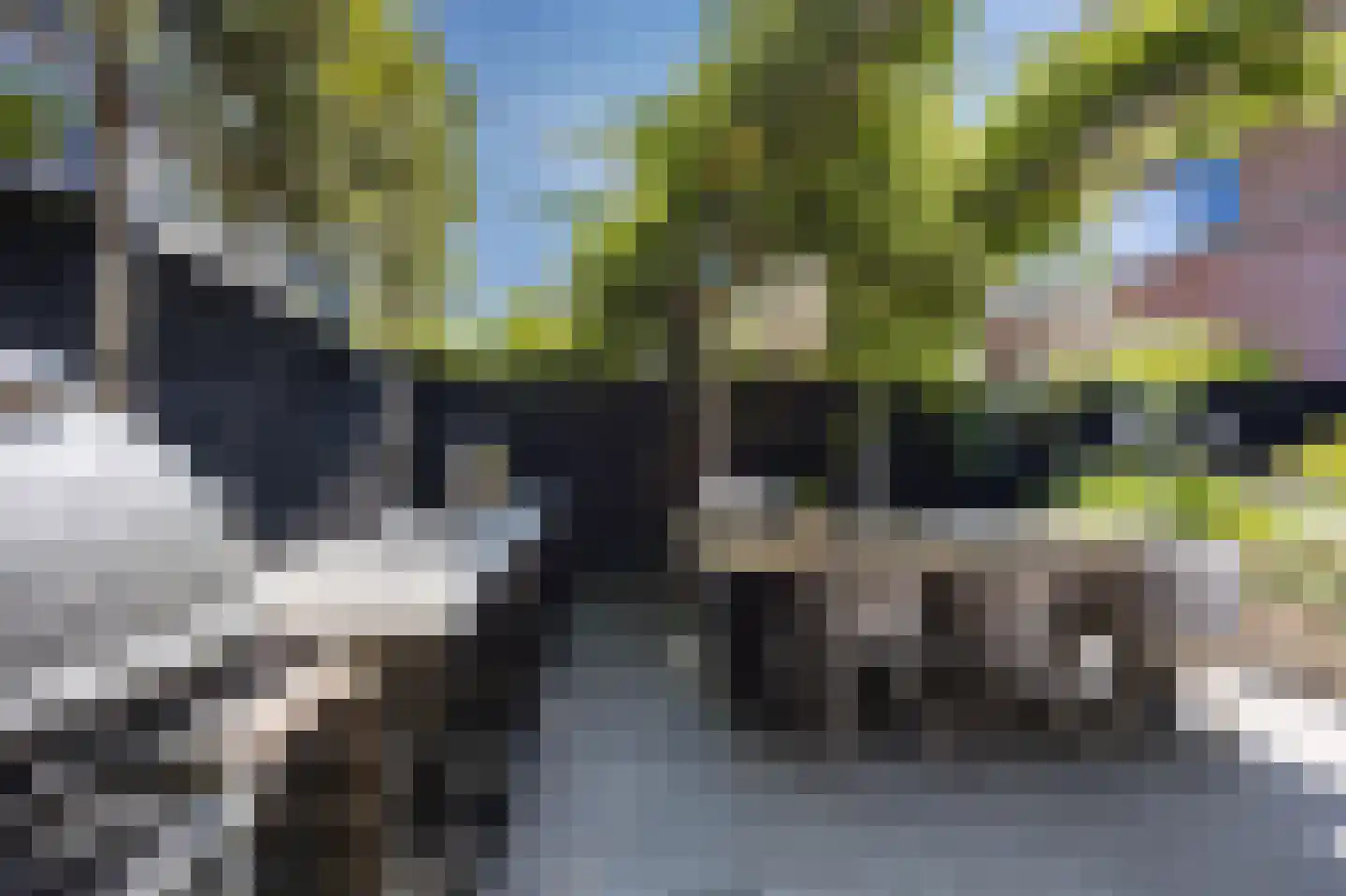 Groene Loper 11 Bleiswijk thumbnail 26