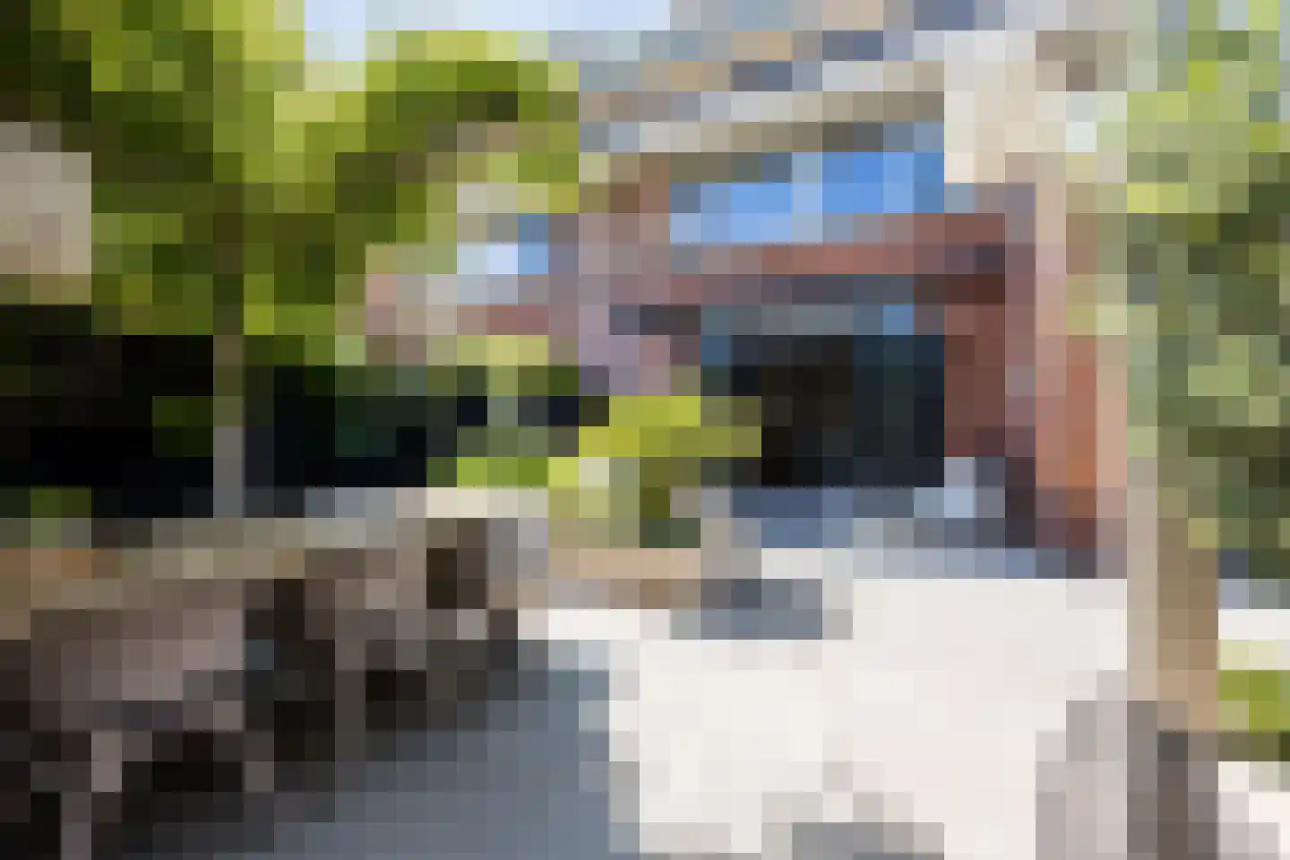 Groene Loper 11 Bleiswijk thumbnail 27