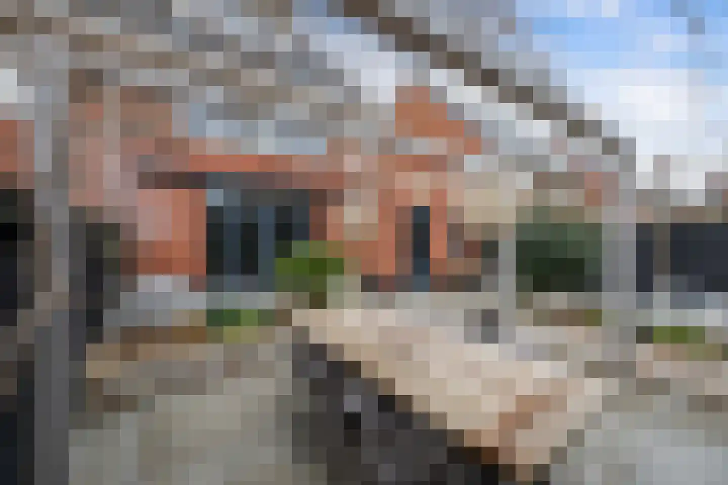 Groene Loper 11 Bleiswijk thumbnail 27