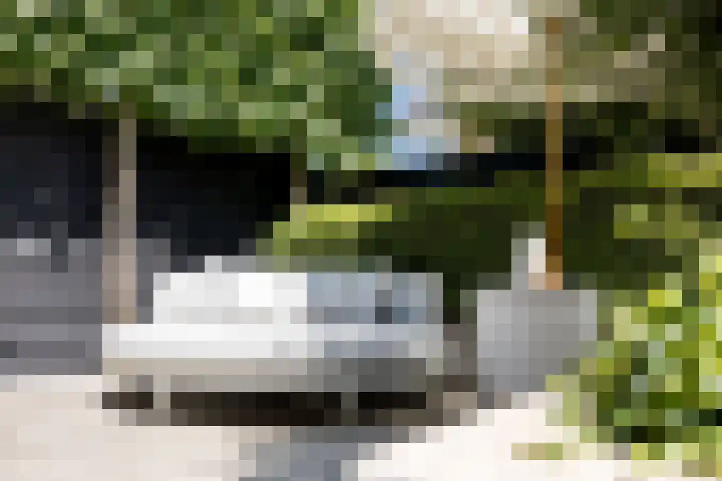 Groene Loper 11 Bleiswijk thumbnail 28