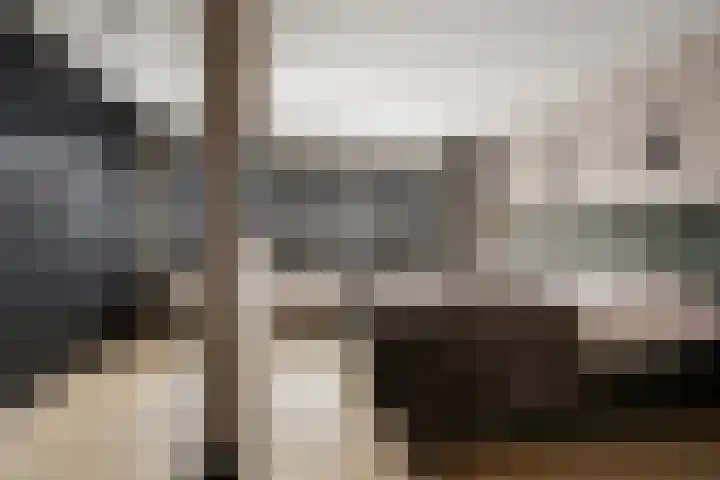 Groene Loper 11 Bleiswijk thumbnail 29