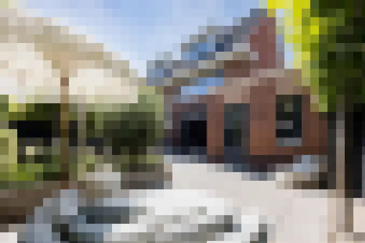 Groene Loper 11 Bleiswijk thumbnail 30
