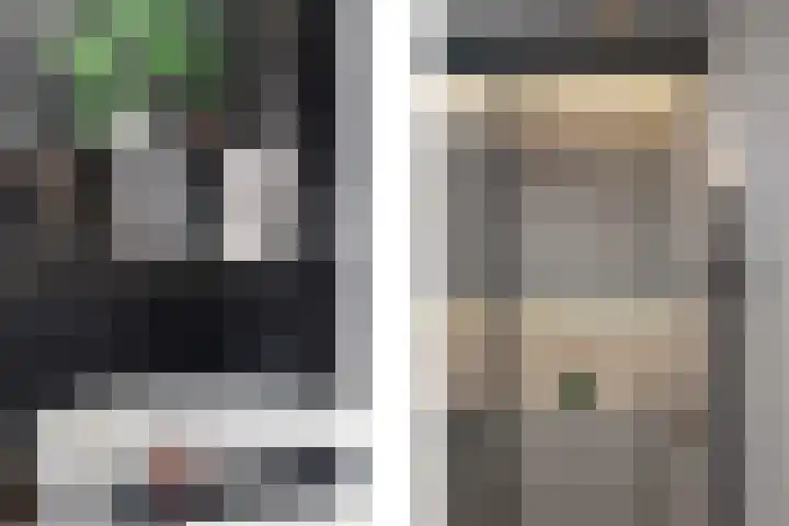 Groene Loper 11 Bleiswijk thumbnail 34