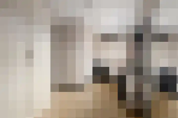 Groene Loper 11 Bleiswijk thumbnail 37
