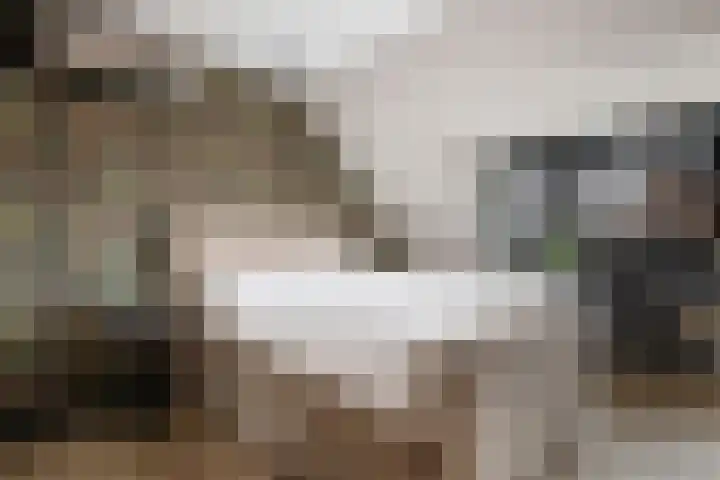 Groene Loper 11 Bleiswijk thumbnail 38