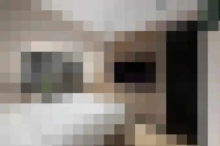 Groene Loper 11 Bleiswijk thumbnail 39