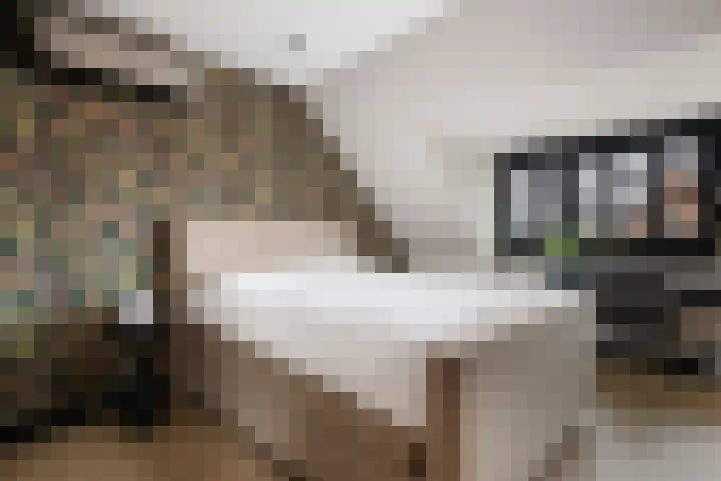 Groene Loper 11 Bleiswijk thumbnail 42