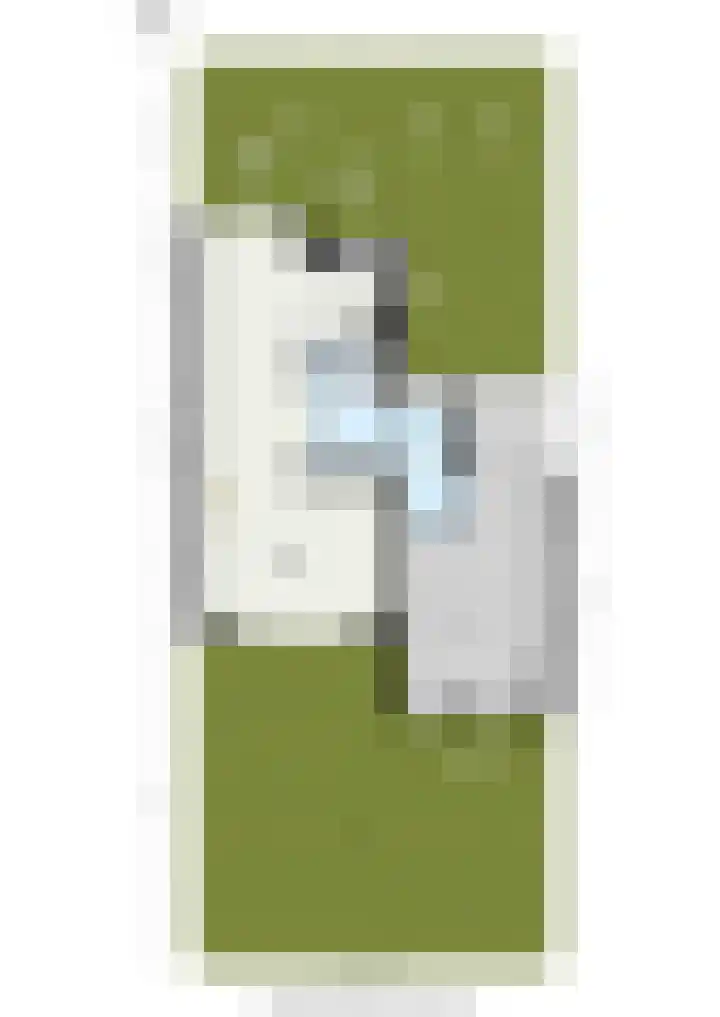 Groene Loper 11 Bleiswijk thumbnail 47
