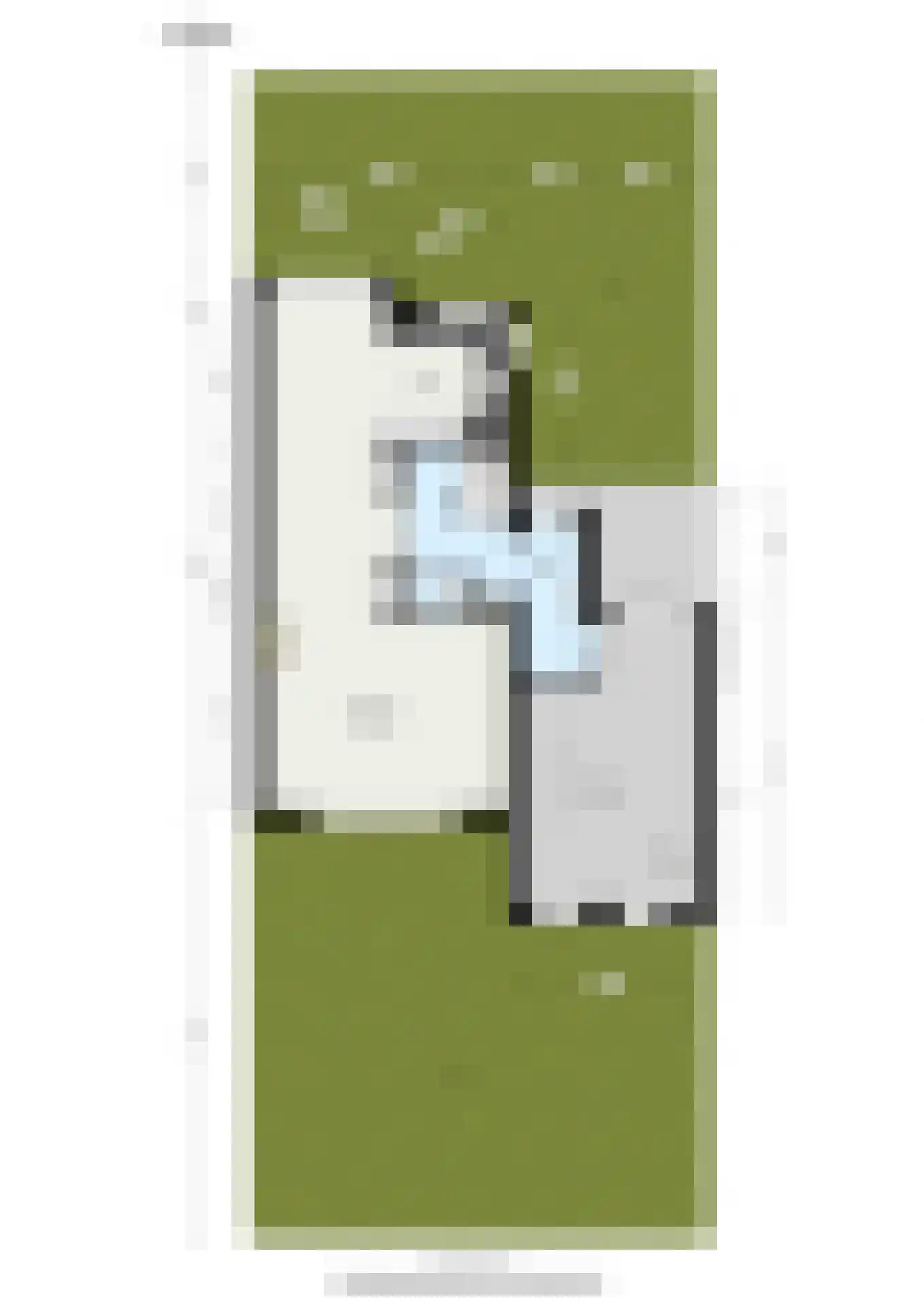 Groene Loper 11 Bleiswijk thumbnail 51
