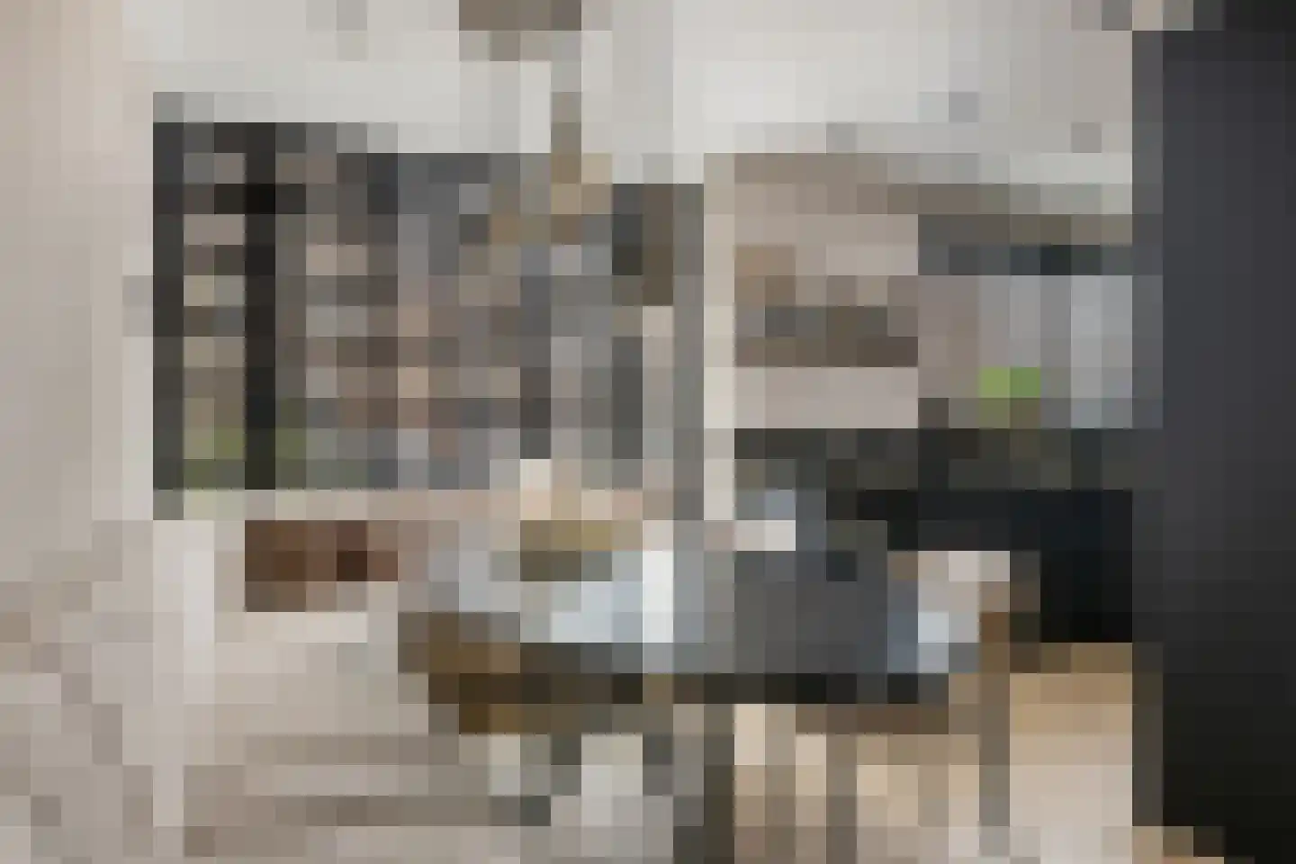 Groene Loper 11 Bleiswijk thumbnail 8