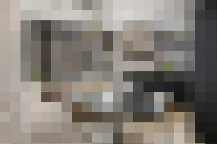 Groene Loper 11 Bleiswijk thumbnail 8
