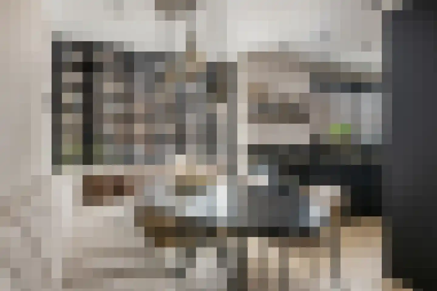 Groene Loper 11 Bleiswijk thumbnail 8