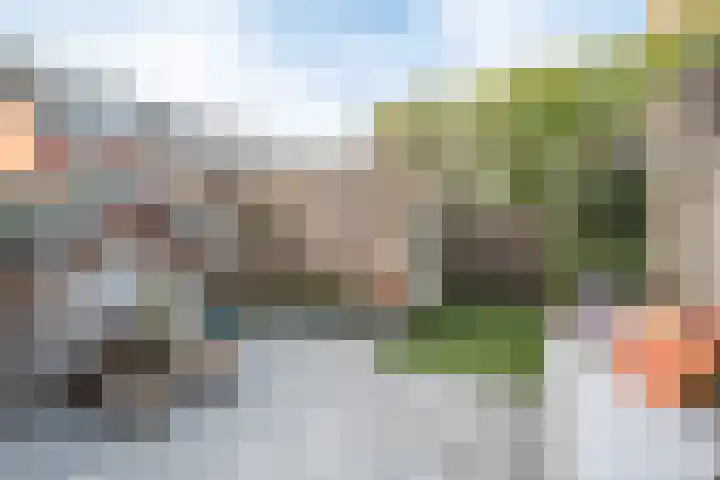 Groene Loper 36 Bleiswijk thumbnail 4