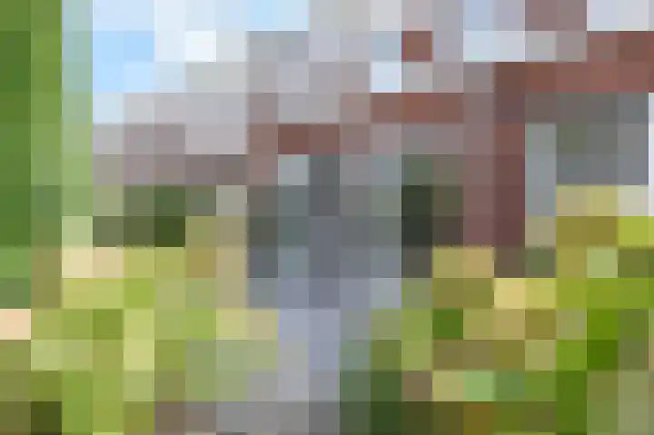 Groene Loper 66 Bleiswijk thumbnail 12