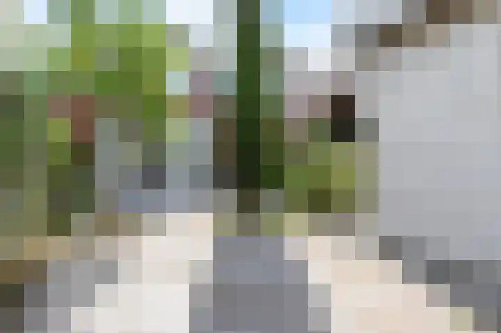 Groene Loper 66 Bleiswijk thumbnail 14