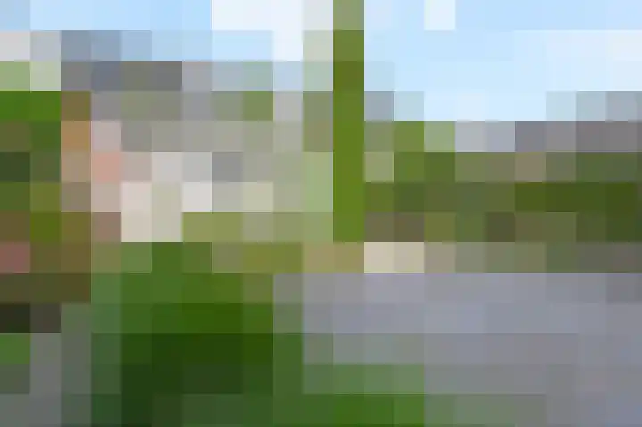 Groene Loper 66 Bleiswijk thumbnail 15
