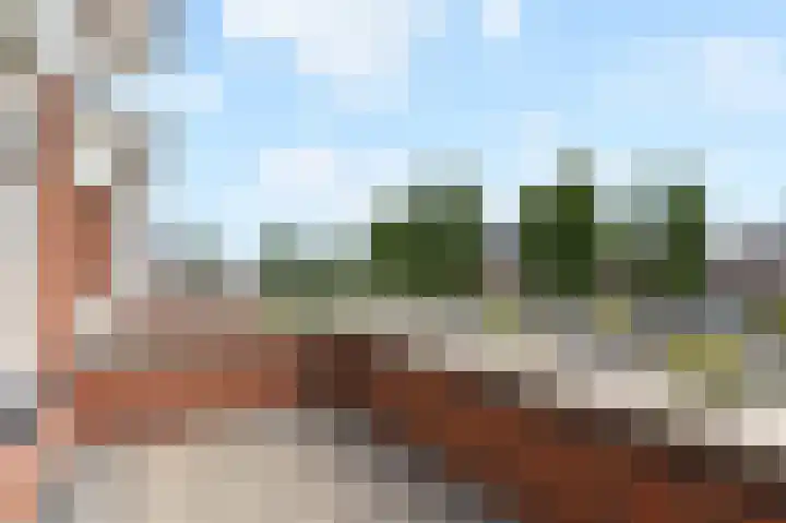 Groene Loper 66 Bleiswijk thumbnail 39