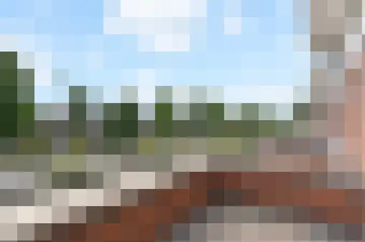Groene Loper 66 Bleiswijk thumbnail 40