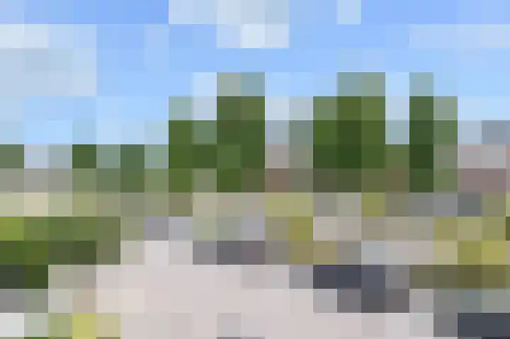 Groene Loper 66 Bleiswijk thumbnail 41