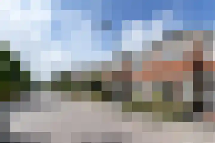 Groene Loper 66 Bleiswijk thumbnail 46