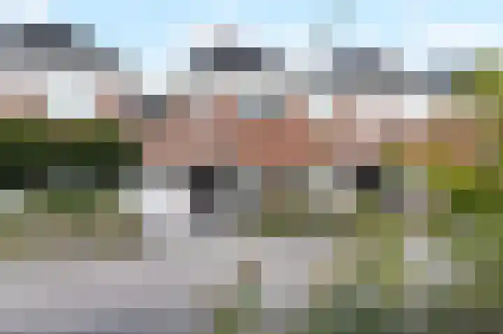 Groene Loper 66 Bleiswijk thumbnail 53