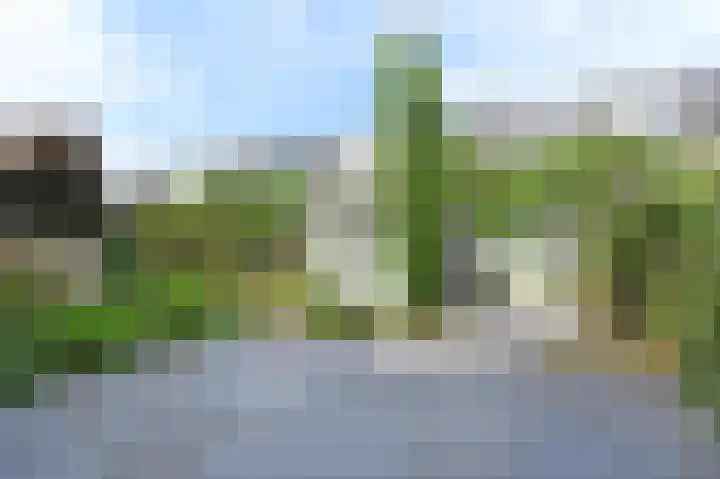 Groene Loper 66 Bleiswijk thumbnail 54