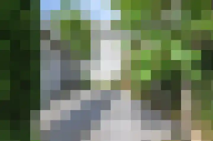 Groene Loper 66 Bleiswijk thumbnail 55